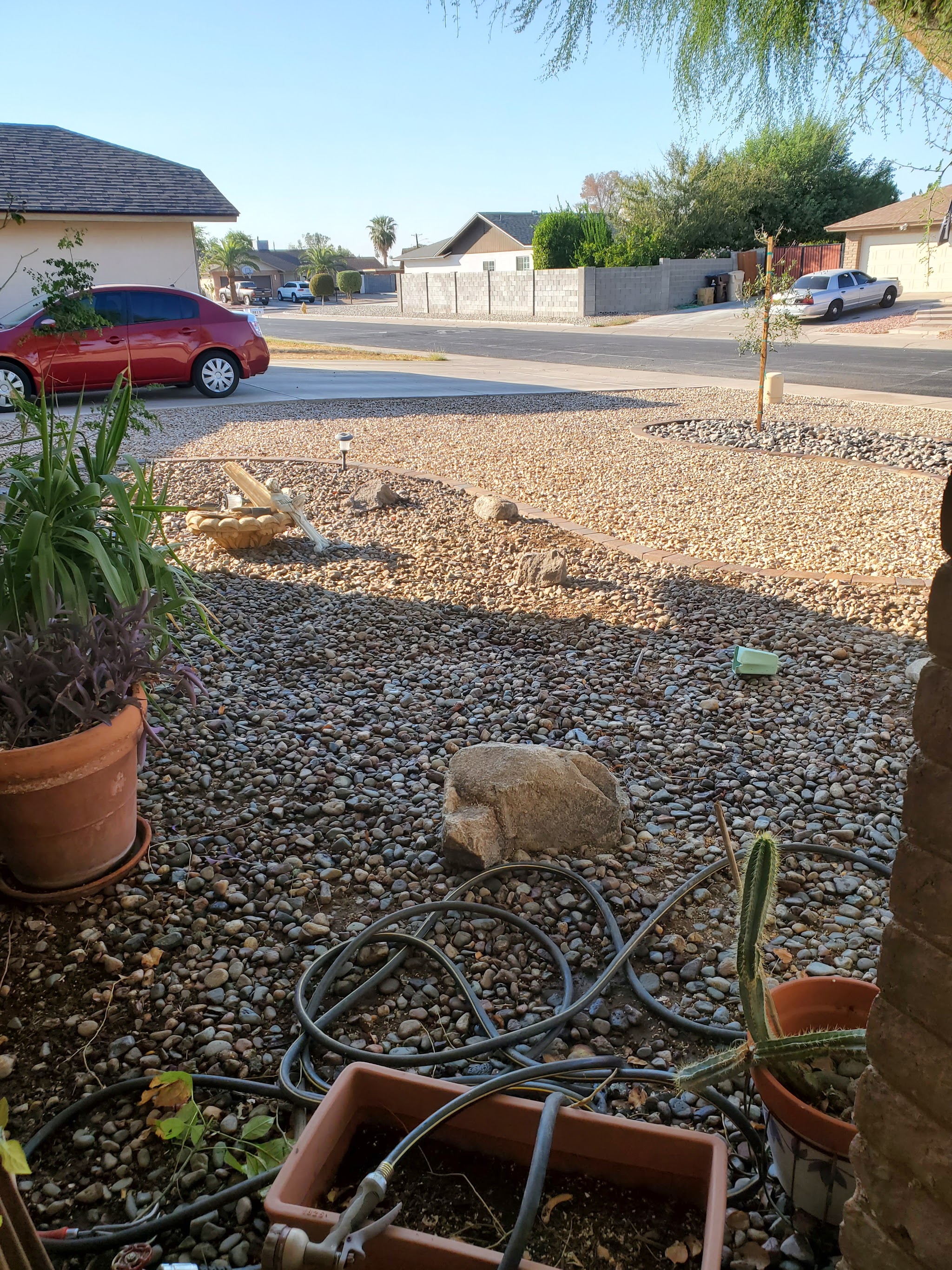 Completed landscape project